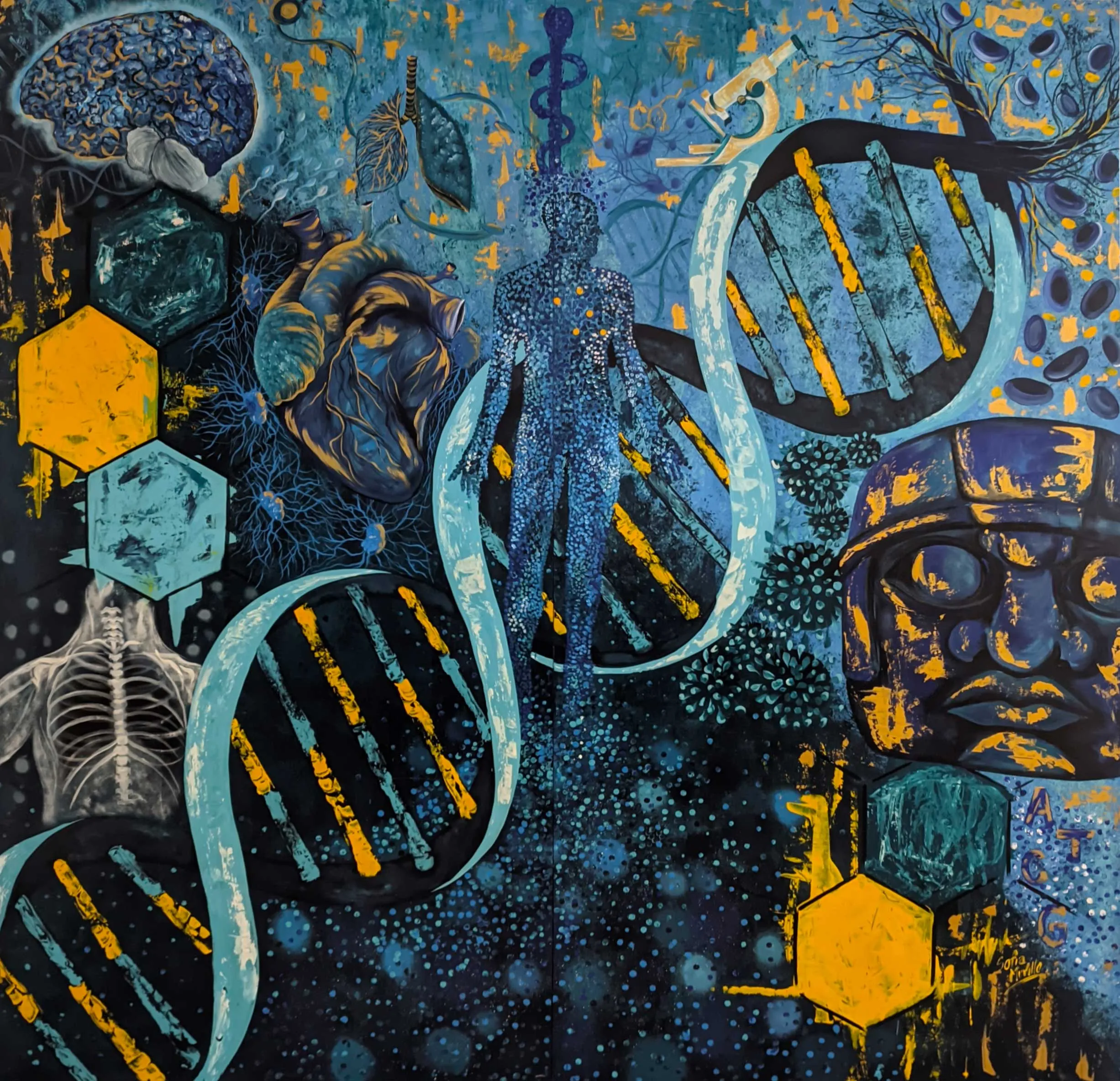 Análisis Clínicos BIMO