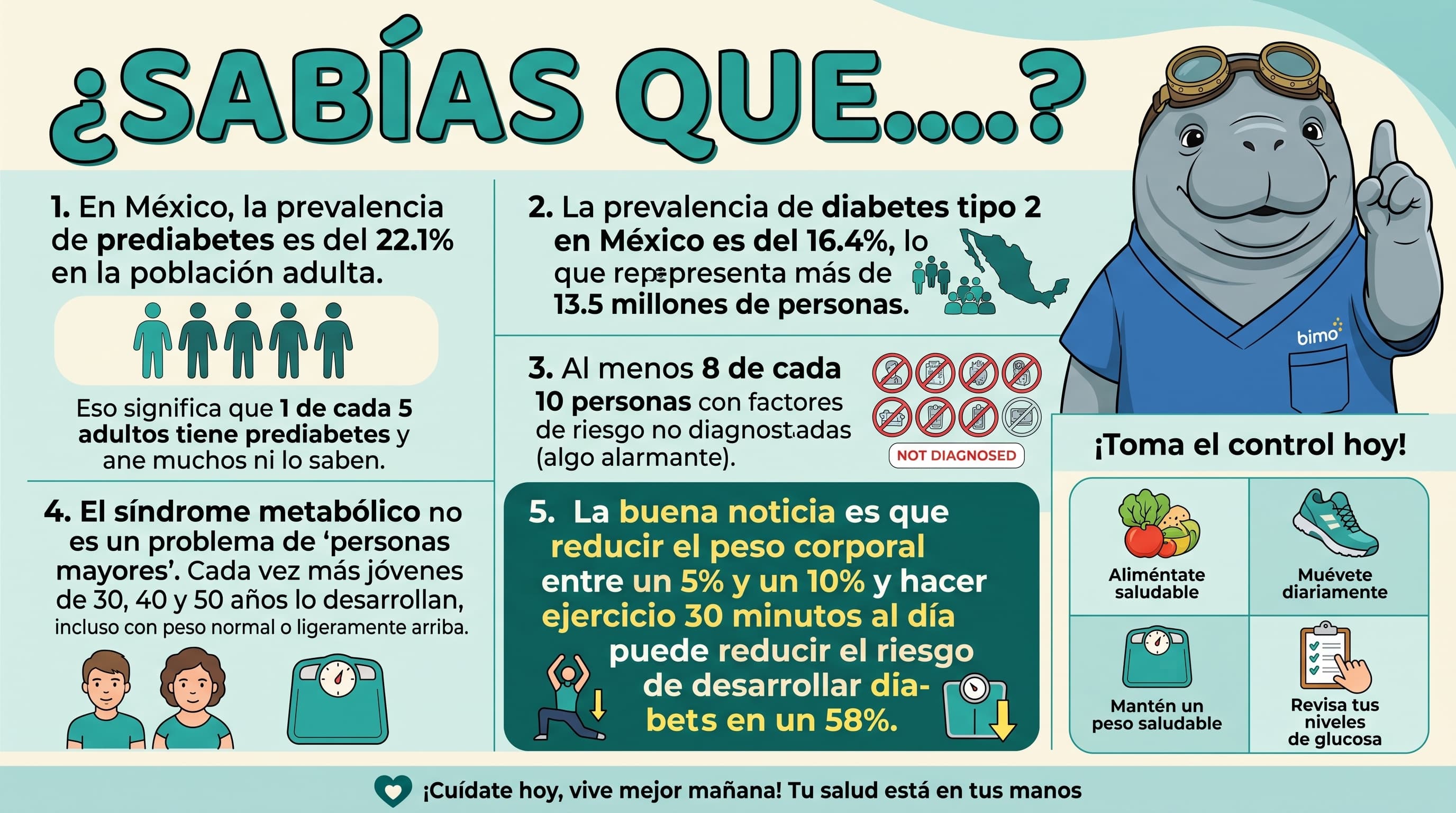 Infografía médica explicativa